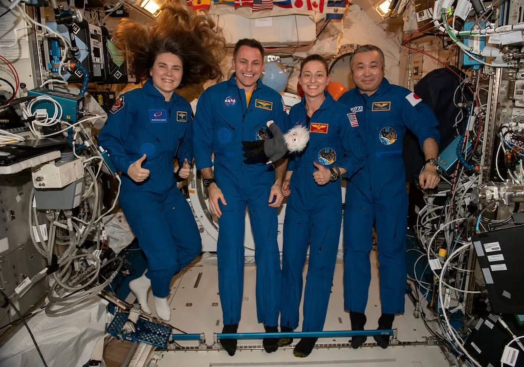 Koichi Wakata 若田光一 tweet media