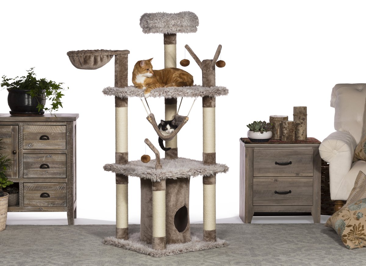 Prevue Pet Products tweet media