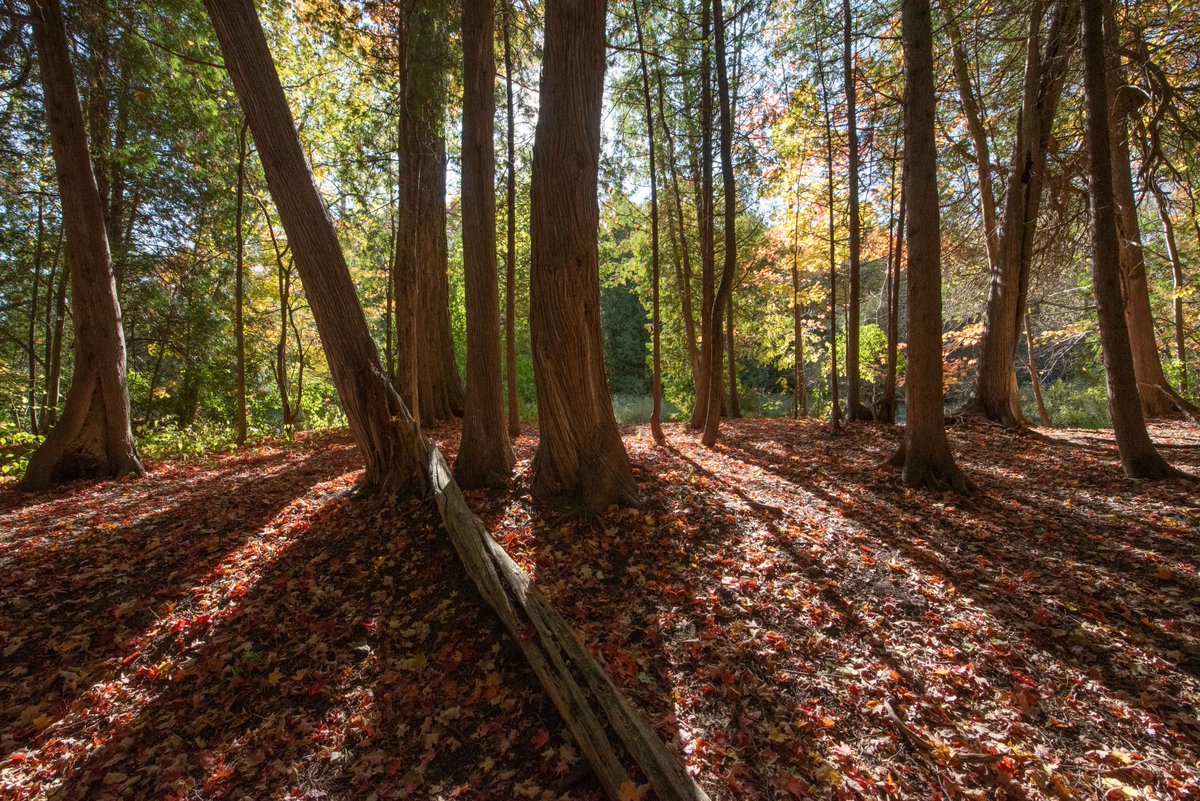 Rouge National Urban Park, Parks Canada tweet media