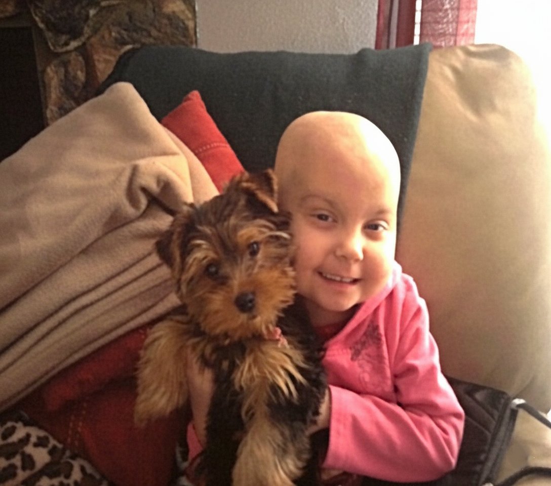 This #NationalDaughtersDay, we honor daughters everywhere, especially Camie, who passed away from leukemia in 2011. Learn more about Camie's story &amp; how you can support this event in honor of National Daughters Day &amp; #ChildhoodCancerAwarenessMonth: thenccs.org/briggs-car-show 🧡🎗️