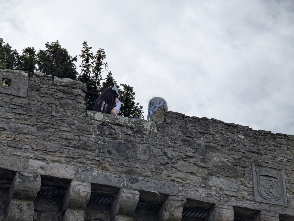 Plotting with albedo <a href="/xcal131/">xcal131</a> 
📷 <a href="/ConvolutedKig/">Scarlett</a>