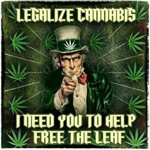 daviddinenberg's tweet image. Free the Leaf!! #Cannabis #LegalizeIt #CannabisCommunity #Mmemberville