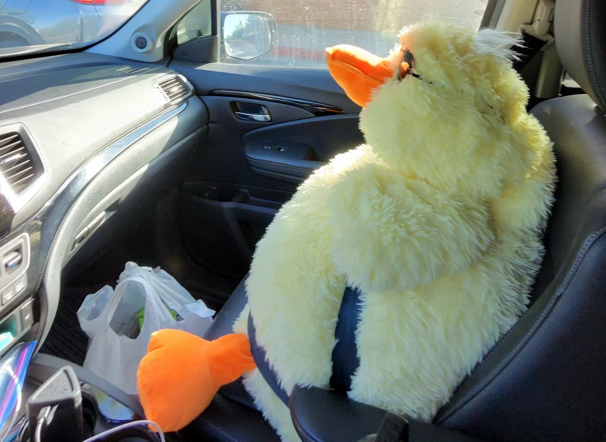 Morning crew ☕🐥
$BCKL isn’t about hype tweets, it’s about consistency.
We show up daily, we build daily, and we keep it simple:
Buckle up, because we’re just getting started. 🚚➡️🚀