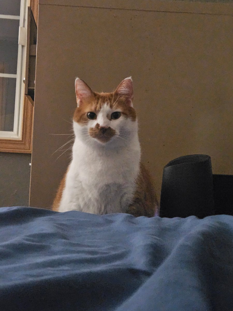 ViscerafestDev - Impending (@viscerafest) on Twitter photo 