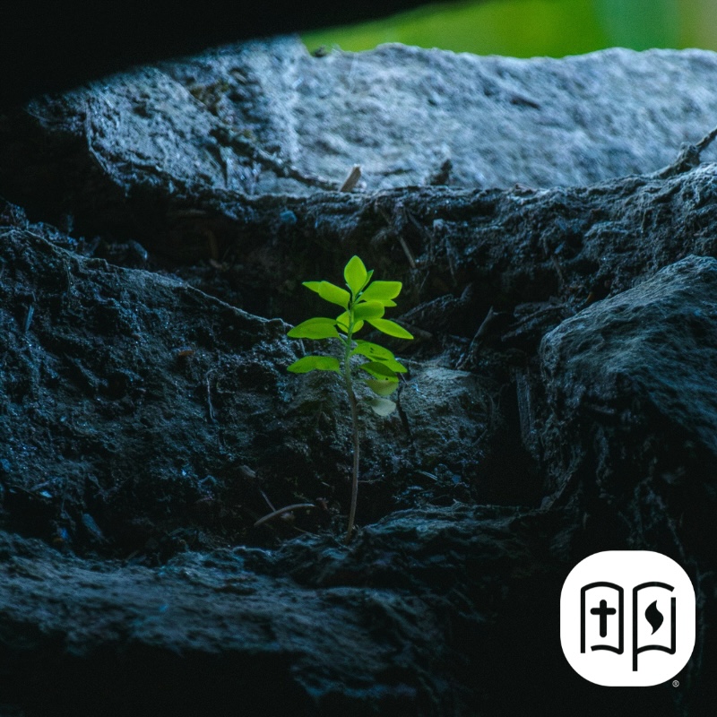 Do we feel stymied looking around at social &amp; political dynamics, unable to imagine anything beyond current realities, beyond broken &amp; oppressive systems?

The book of Micah reminds us that the current situation is never the final word in God’s kingdom &gt; loom.ly/_HP0V9M