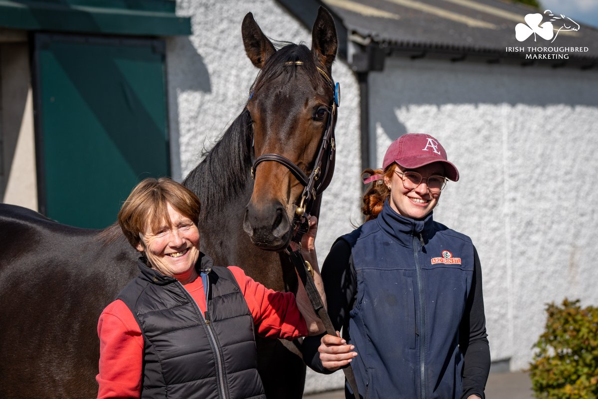 .<a href="/OutsiderBl/">Francisco E. Bernal</a> goes to €55,000 to secure Lot 5⃣9⃣8⃣ from <a href="/ArdErinStud/">Tom Brickley</a> at <a href="/Tattersalls_ie/">Tattersalls Ireland</a> September Part Two. ✅

Filly by <a href="/CompasStallions/">CompasStallions</a> King Of Change is a sibling to six winners inc. Italian 1,000 Guineas winner BEENHAM (IRE) &amp; talented 2yo MAGNY COURS (IRE).

#TattsIreSYS