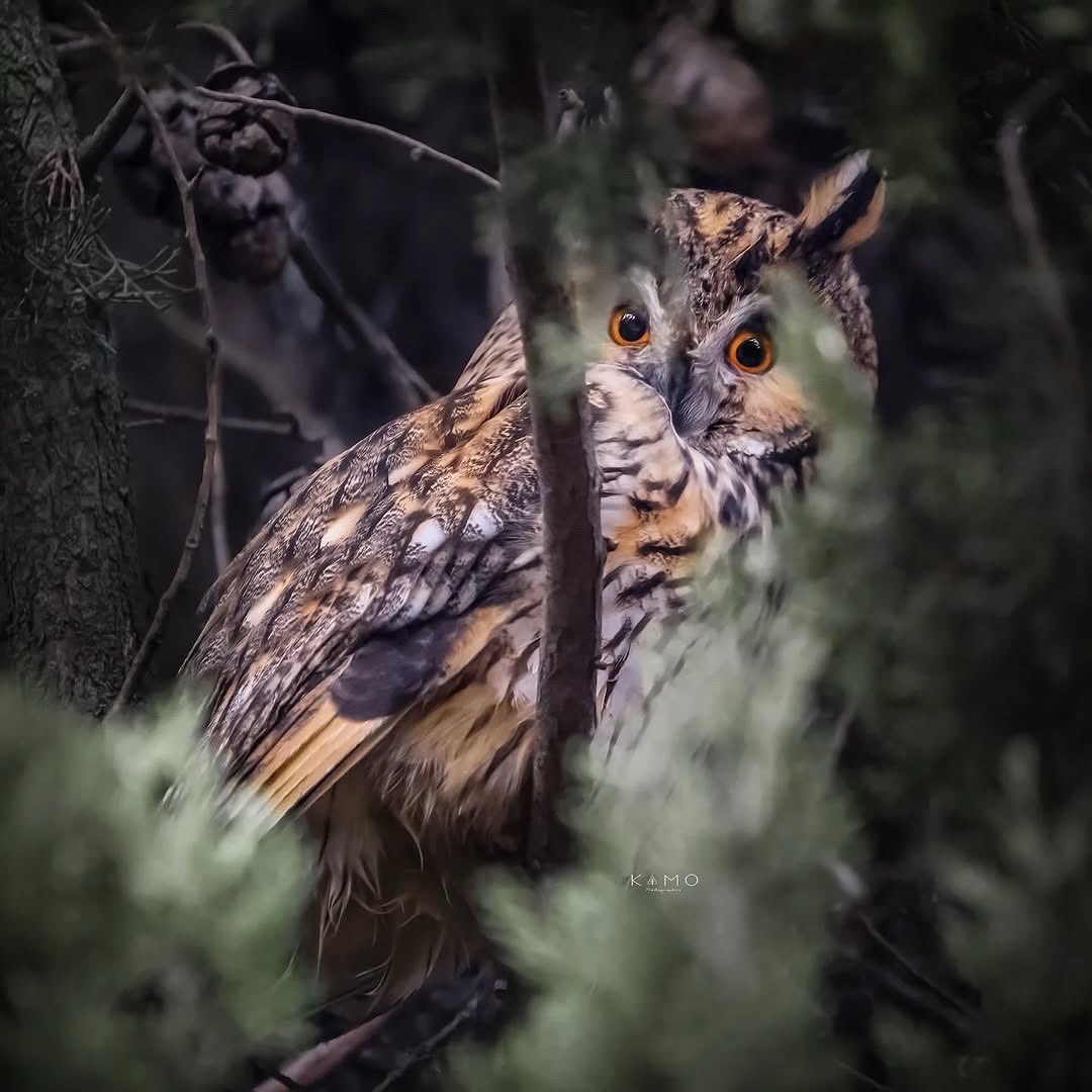 Explore Umbria tweet media