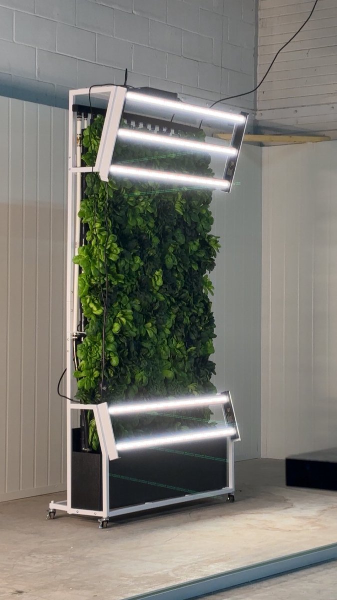 The Last Real Loverboy tweet media