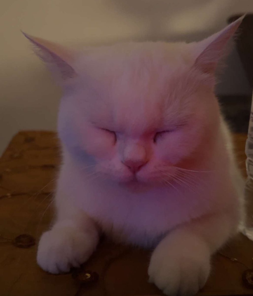 غمضت عيوني خوفي للناس
يشوفوك مخبّى بعيوني