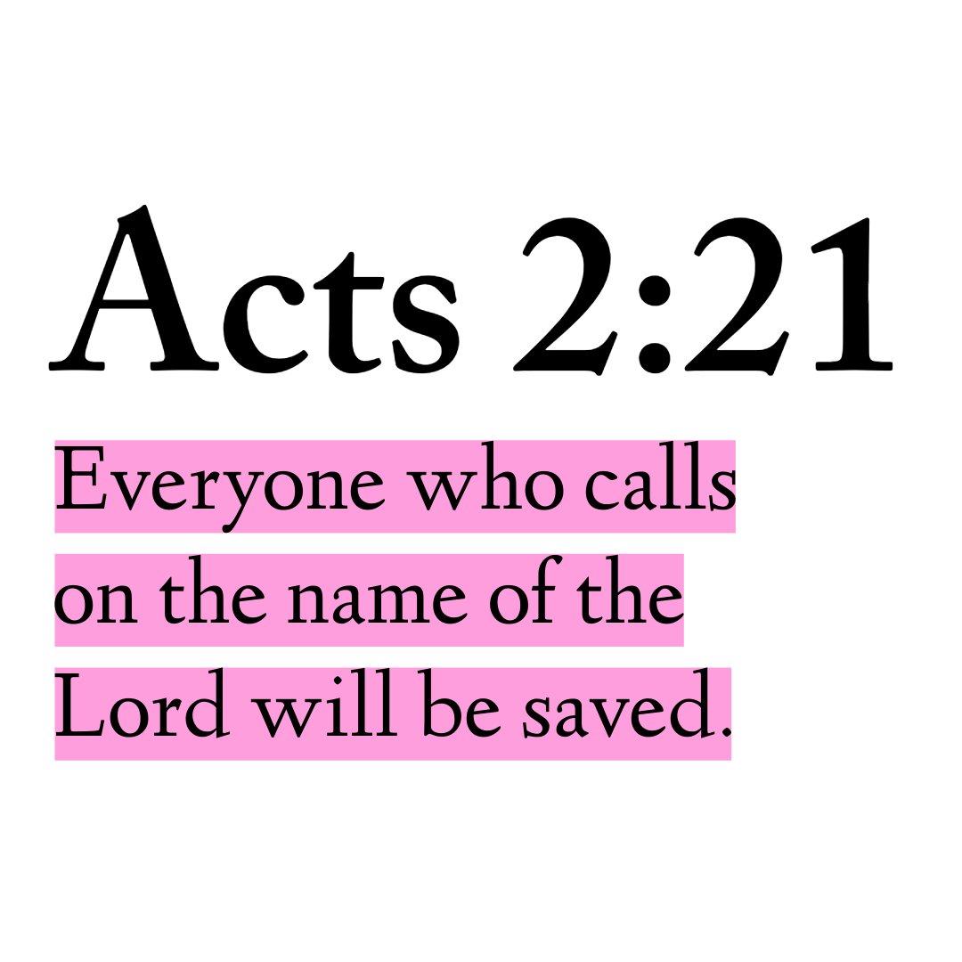 Biblical Advice tweet media