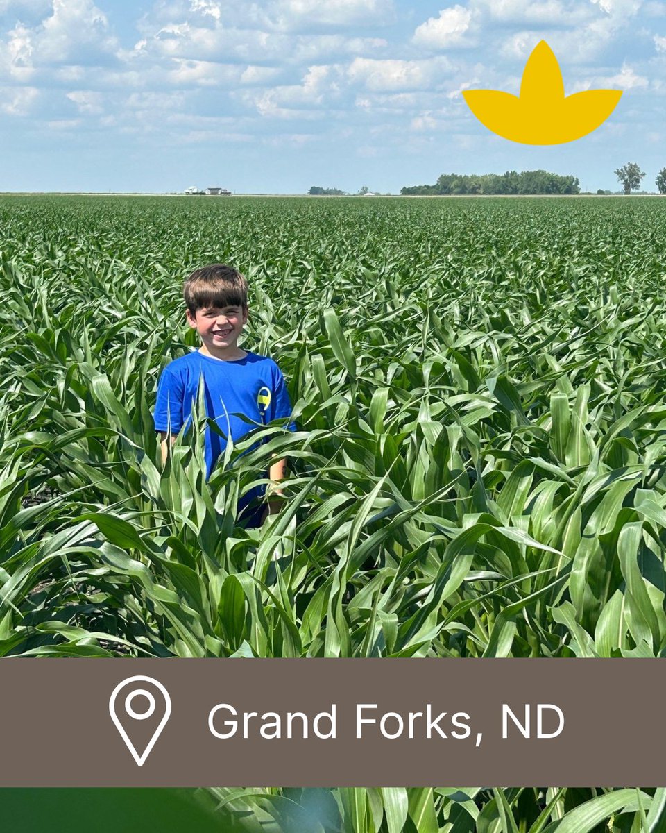 Simplot Grower Solutions tweet media