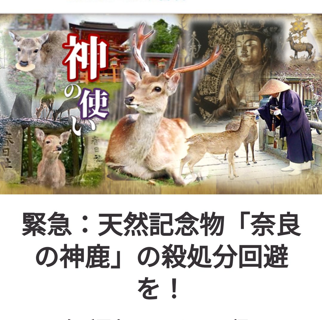 shikaotti's tweet photo. https://t.co/XS3sfcZb00