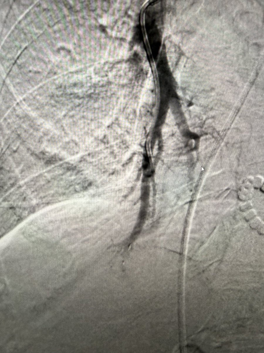 Harris Chengazi tweet media