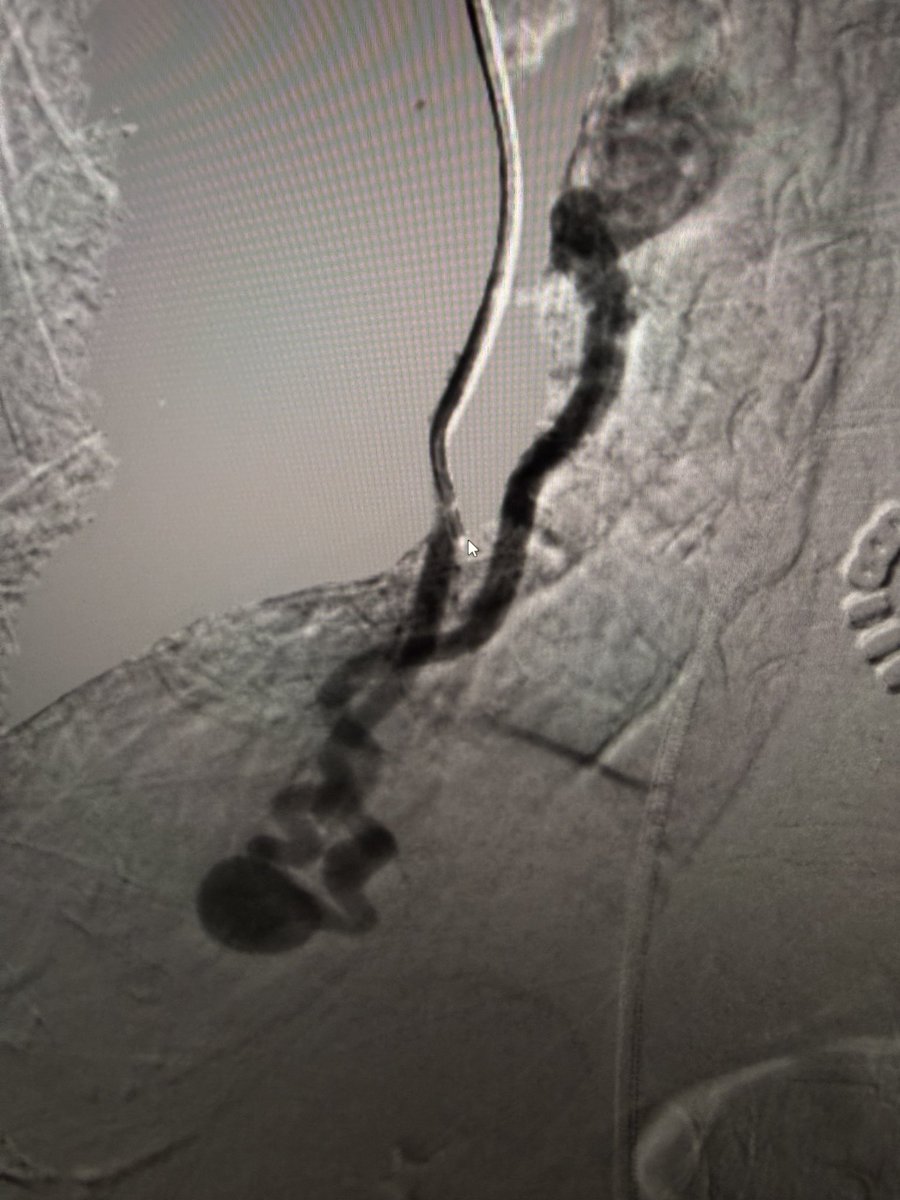 Harris Chengazi tweet media