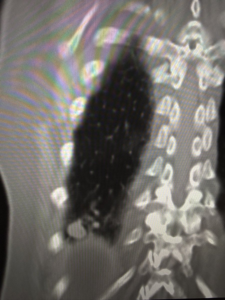 Harris Chengazi tweet media