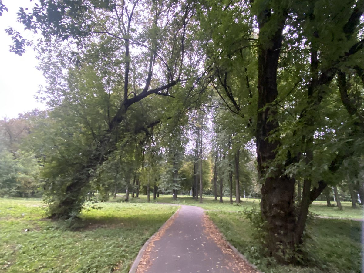 nekosamesuki's tweet image. 編集へたっぴ&amp;amp;アプリを変えたせいで、投稿者も気が付かないバグが沢山起こっていますのに、見てくださってありがとうございます😭  

2025年ロシア旅行記②モスクワ散策🇷🇺✈️タタールスタン共和国カザン地方　В Москвы из Казань
youtu.be/hUOg2Itz4gM