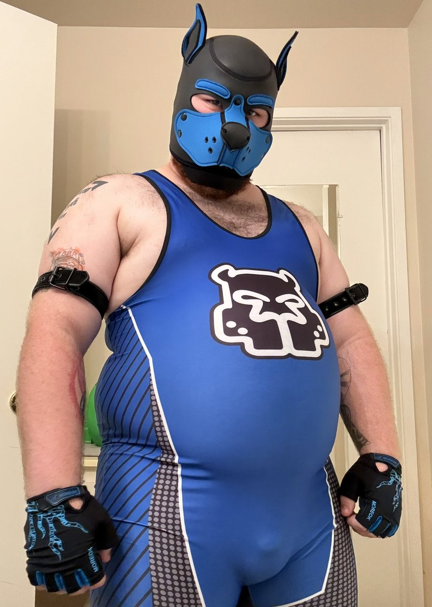 KodyBear tweet media