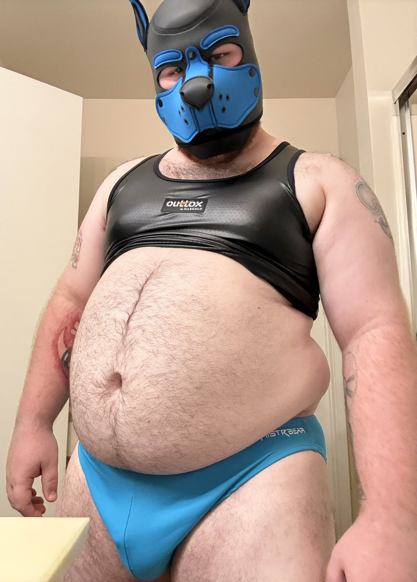 KodyBear tweet media