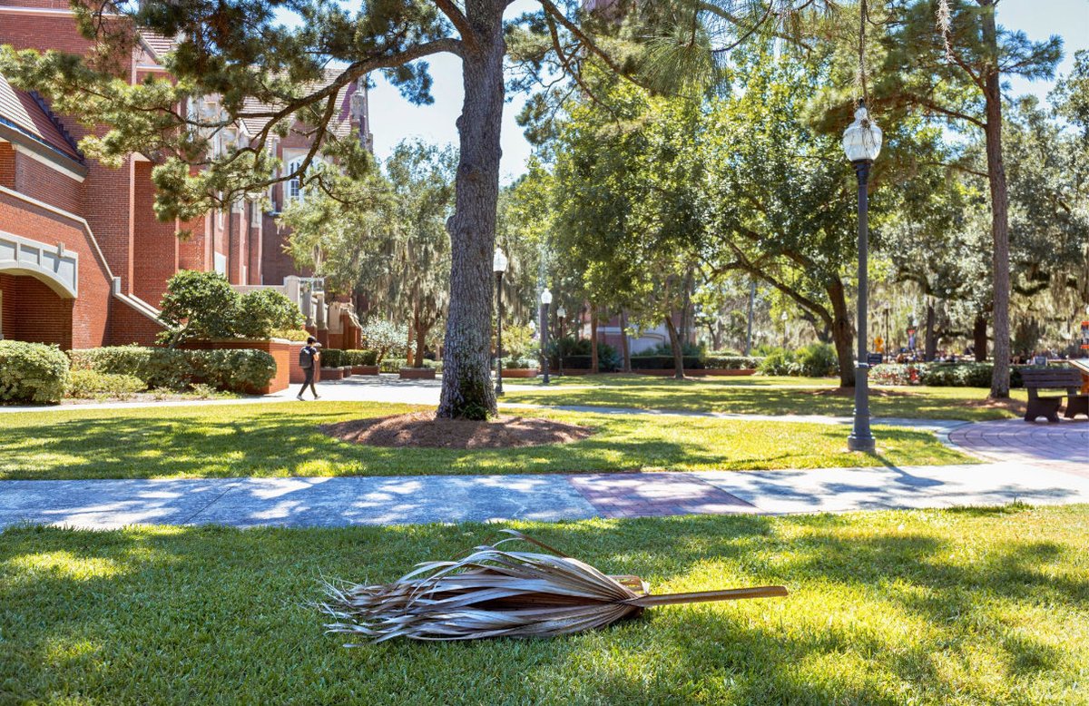 Carrie Garcia #CarrieChristmas #getCarriedaway tweet media