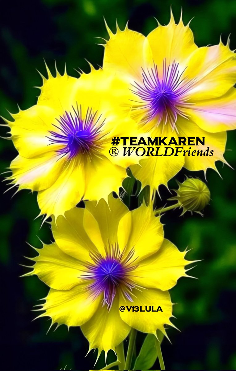 #TeamKaren🌏✨ 
<a href="/Mrk4786/"> 𝐌𝐨𝐧𝐮(◕‿-)✌</a> 
<a href="/V13lula/">Karen Lúcia♀️🚩🌵</a> 
<a href="/1Reett/">𝒜ℬ𝒟𝒪</a>
<a href="/1qqmr/">𝓦𝓐𝓐𝓓</a>
<a href="/oz35q/">σƶ∂εɱเ૨</a>
<a href="/Znt35/">🍁Zeenat🍁</a>
<a href="/Ghz97/">❃ 𝐒.𝐆𝐮𝐥 ❃</a>
<a href="/2027w6/">⚖️ ℳ𝖏𝕶𝒜 ميٰرا</a>
<a href="/Lea_Dhai/">🦉𝘗𝘳𝘪𝘯𝘤𝘦𝘴𝘴 𝘓𝘦𝘢𝘩🎖𝟭𝟲𝟬𝗞🌞</a>
<a href="/12ZZZ22/">دختور🔥🔥</a>
<a href="/OdriSeva/">Odri Seva</a> 
<a href="/Baoo_321/">Baoo_313 🇵🇰🇨🇳🇫🇷🇩🇪🇹🇷🇯🇵🇺🇸🇬🇧🇧🇷🇨🇦</a>
<a href="/Sana_IIK/">KhanZaadi 🦋</a>
<a href="/Eunseph_A/">𝐍͢𝐞͢𝐱͢𝐮͢𝐬͢ Aje</a>
<a href="/smsn521296/">شمسان</a>
<a href="/SunilY93656/">Sunil Yadav</a>
<a href="/RosaNegra008/">#ℑ𝔫𝔪𝔞 🌹🖤</a>
<a href="/Maria_Rebocho__/">Maria✨</a>
<a href="/osyarenistylish/">💃𝕠𝕤𝕪𝕒𝕣𝕖𝕟𝕚𝕤𝕥𝕪𝕝𝕚𝕤𝕙🏋️お洒落にスタイリッシュ🕺</a> 
<a href="/osarenatrainee/">🪡🄾🅂🅈🄰🄽おしゃん📝𝙤𝙨𝙖𝙧𝙚𝙣𝙖𝙩𝙧𝙖𝙞𝙣𝙚𝙚🧶</a>
<a href="/teamdinamicas/">Cami</a>
<a href="/FatimaSchmitt6/">Fatima Schmitt</a>
<a href="/DreamyTechGirl/">DreamyTechGirl 🌺🦋💙</a>