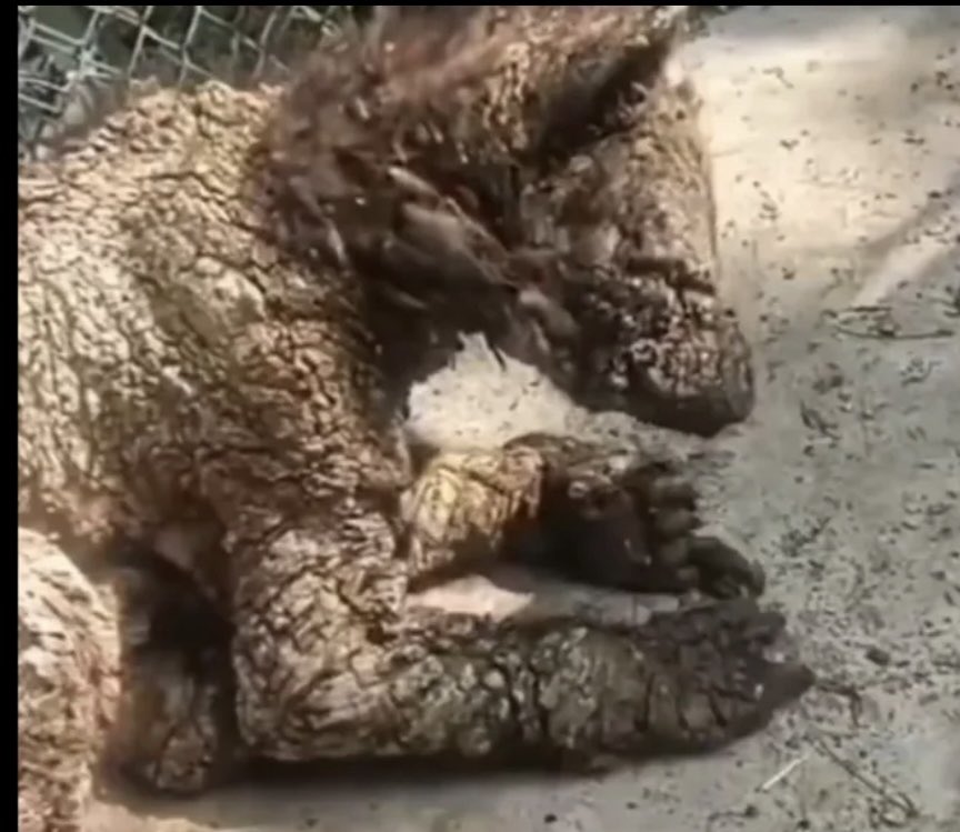 𝙍𝙪𝙩𝙝 𝘽𝙖𝙧𝙧𝙞𝙤𝙨 𝙁𝙪𝙚𝙣𝙩𝙚𝙨 tweet media