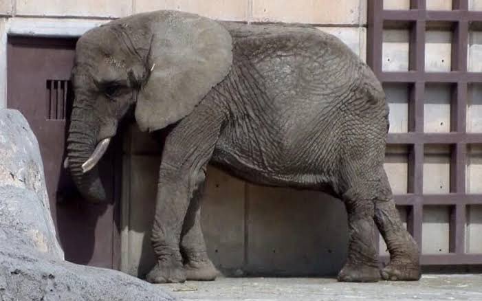 𝙍𝙪𝙩𝙝 𝘽𝙖𝙧𝙧𝙞𝙤𝙨 𝙁𝙪𝙚𝙣𝙩𝙚𝙨 tweet media