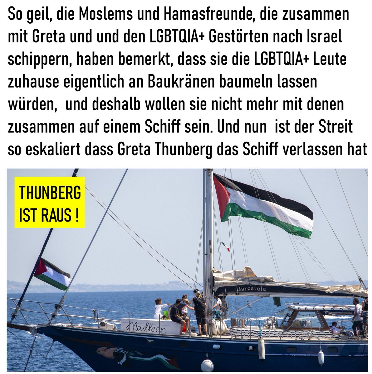XselbstDenker's tweet photo. @niusde_ #thunberg #greta #israel #raus #vonbord #lgbtqia+ #moslemes #hames #gaza https://t.co/nHsqUfnG5q
