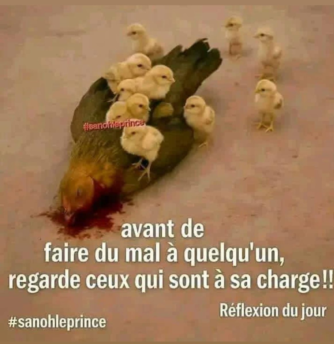 Yanbat1's tweet photo. La vérité que plusieurs évitent de voir en face...💔
Dommage ! https://t.co/AfqwkeDSMj