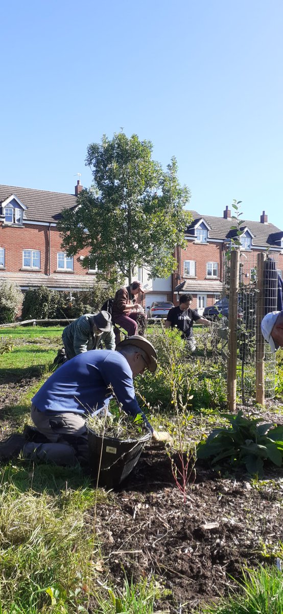 fruitnutvillage's tweet photo. Oh... such beautiful blue skies over #SouthernDrive #ForestGarden #Monyhull today. #FruitAndNutVillage #DruidsHeath #GrowTheVillage https://t.co/9hTYaP7qBR