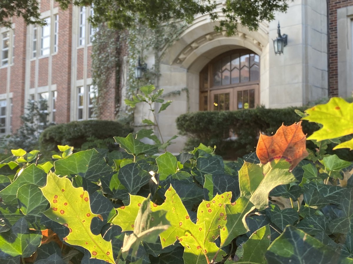PalmeriJoAnn's tweet image. #FallColors starting to appear @UofOklahoma #OUskywatch #LibrariesFromTheOutside