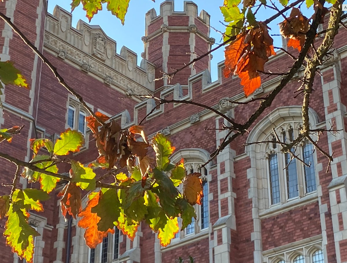 PalmeriJoAnn's tweet image. #FallColors starting to appear @UofOklahoma #OUskywatch #LibrariesFromTheOutside