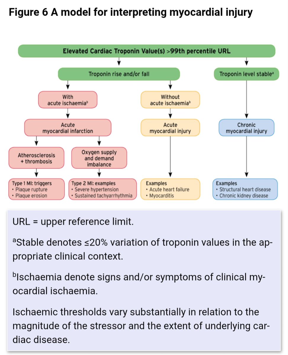 +ve Troponin Approach 

ESC Guidelines