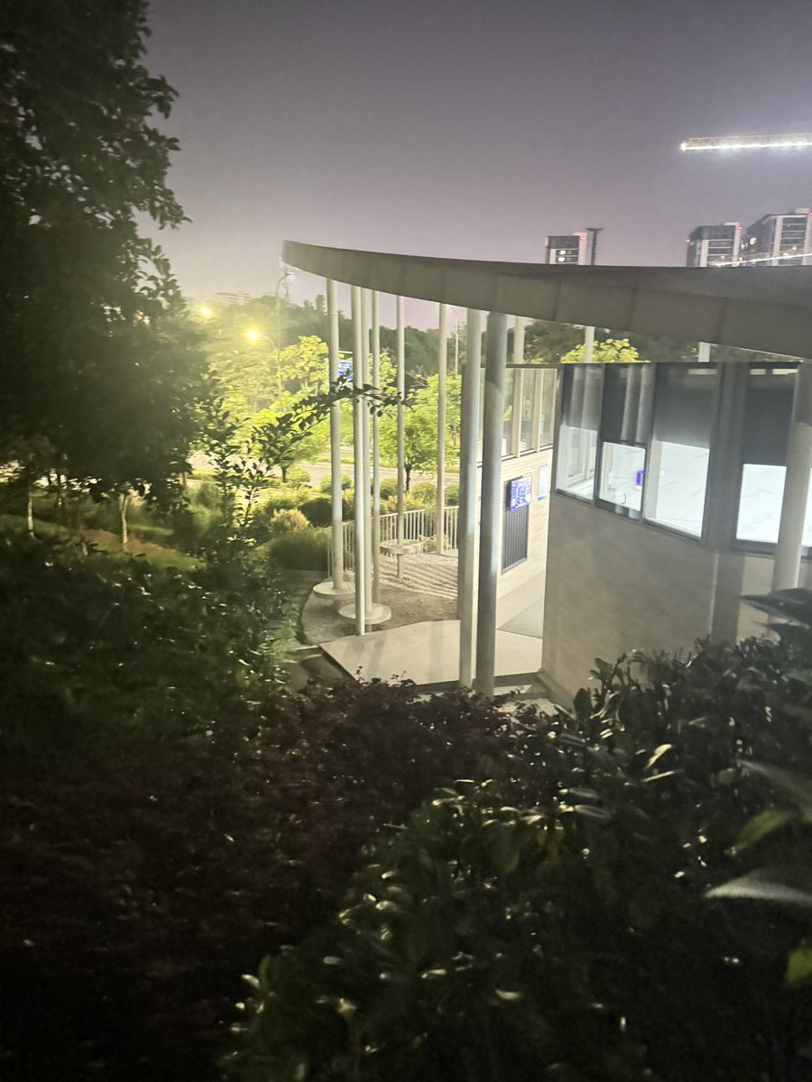 奥体印象城这边的小树林真的是完美