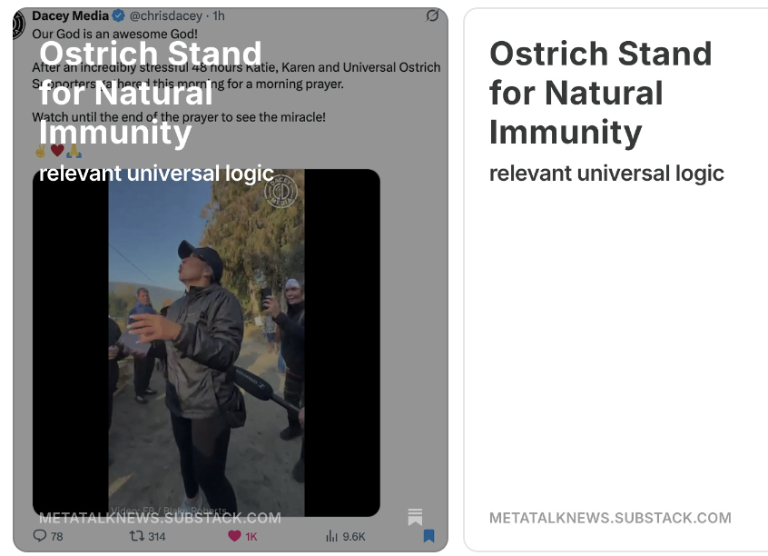 MetaLiving2's tweet image. #Ostrich Stand for #NaturalImmunity open.substack.com/pub/metatalkne…
