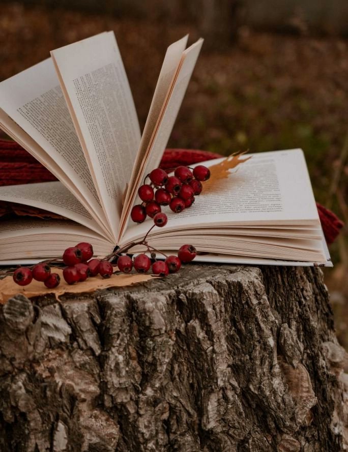 Кстати о традиции осенних свадеб.
Поскребем по сусекам:

1. Искусство вовремя предложить:
archiveofourown.org/works/61055155
2. Позвать нужных гостей:
archiveofourown.org/works/49037902
3. Сделать достойный подарок:
archiveofourown.org/works/50343760

Наслаждайтесь уютным чтением в ранние осенние сумерки!❤️🍁🍂