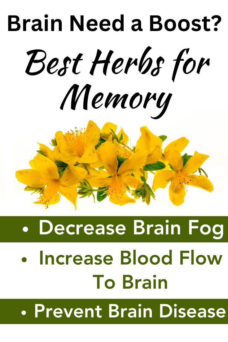 fitness_calls's tweet image. Increase your memory using audio: usa-thebrainsong.com

#thebrainsong #brainsong #memoryenhancement