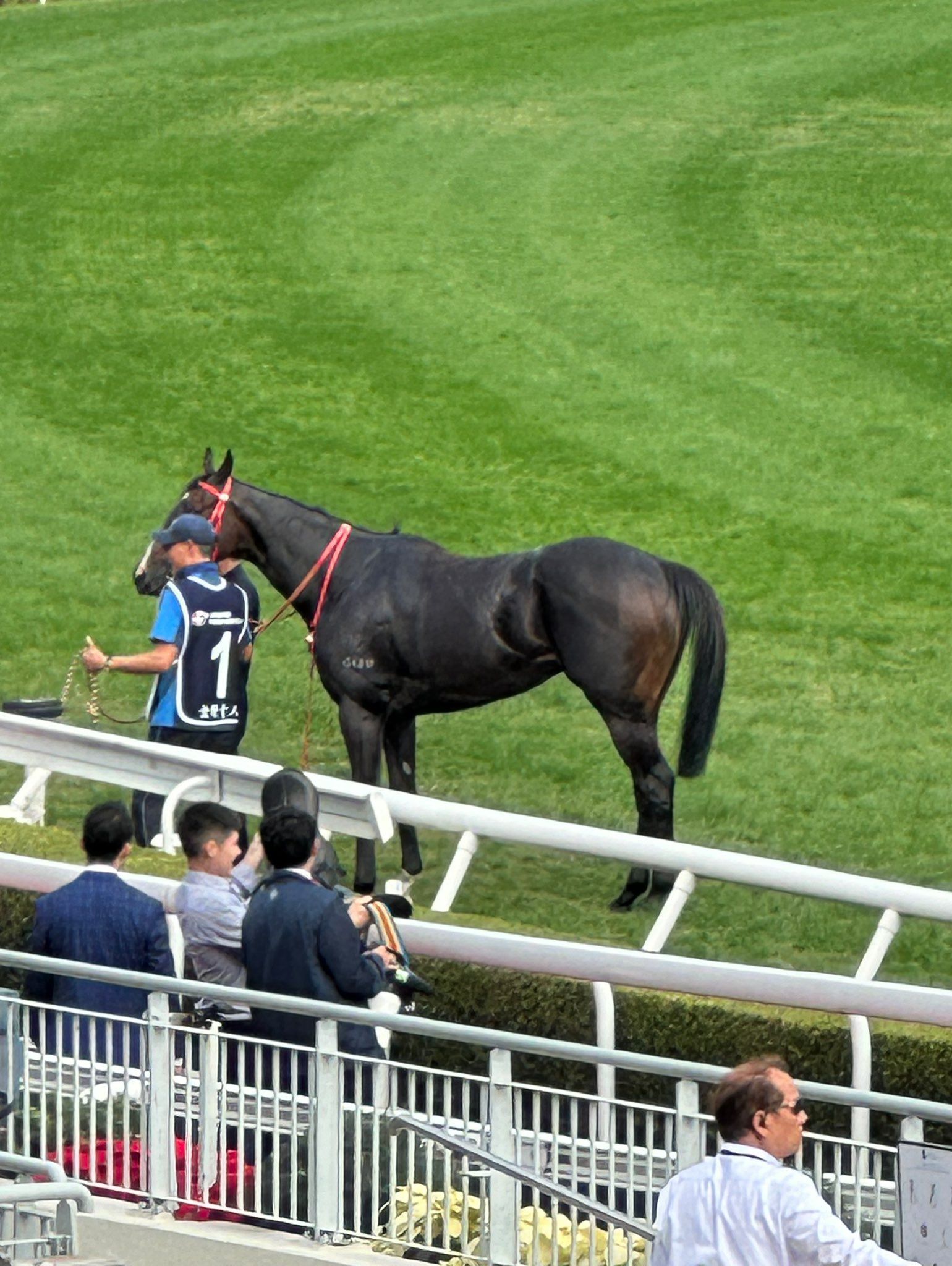 うーさん (@kuromame0101010) / X