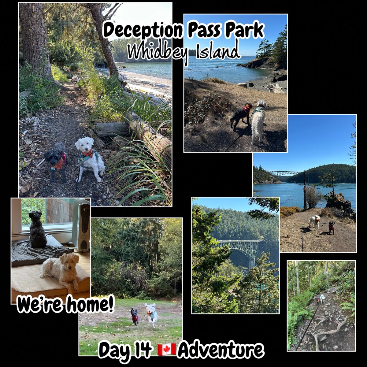 🚙Zee Girls’ 🇨🇦 Adventure
Day 14, Last Chapter

We had a 2-hr-bum-sliding-knee-crawling (for Mom) trail for us on our island to get the Deception Pass Bridge 📷 she wanted! 

We feel #Blessed to live here!

It was a grand adventure! Thanks for joining us!! 

❤️Zip, Zoë &amp; Mom