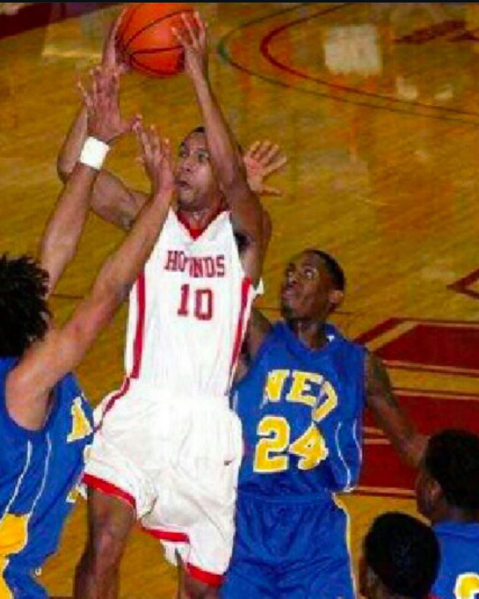 Sue Halliburton - MACC Greyhounds tweet media