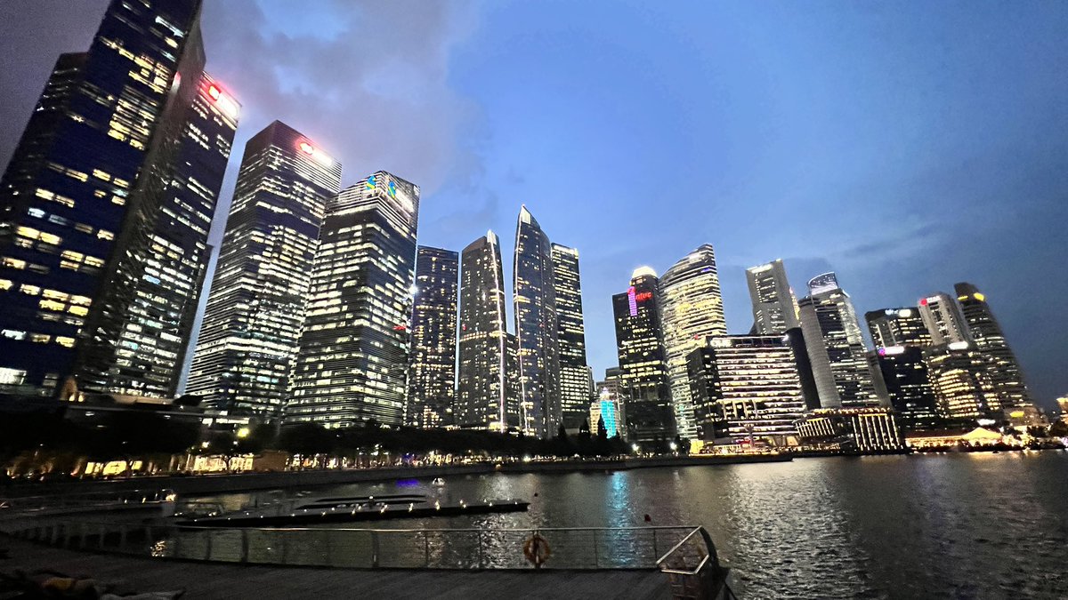 Como que el skyline de la marina no entra en el gran angular!!! Maravillosa Singapur