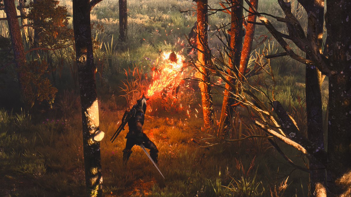 discophotomode's tweet photo. The Witcher 3: Wild Hunt https://t.co/5epI18VN1l