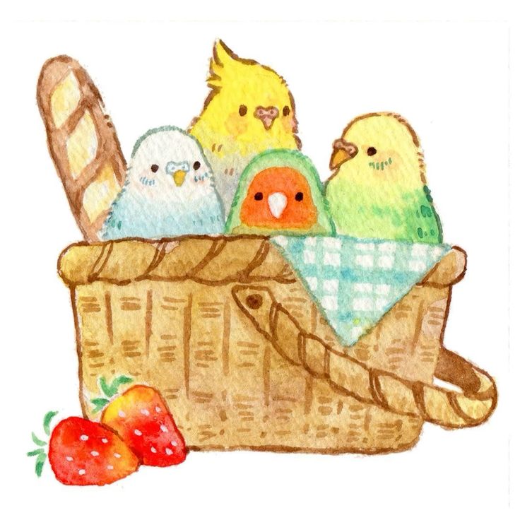 cutedreamvibes's tweet image. 