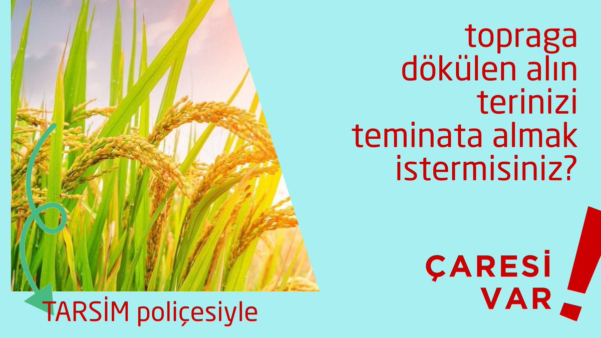 topraga dökülen her damla alın terinizin ve emeğinizin karşılığı için ürünlerinize #Tarsim sigortası yaptırmayı ihmal etmeyin. <a href="/tarim_sigortasi/">TARSİM</a> 
agcasigorta.com