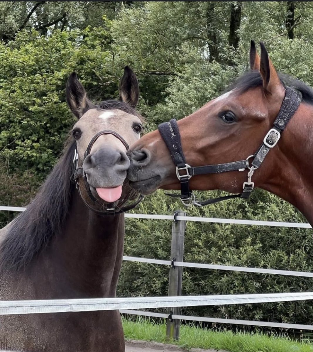 Erkeğin daha çok sevdiği ,kadının o sevgide çocuklaştığı aşk ❤️