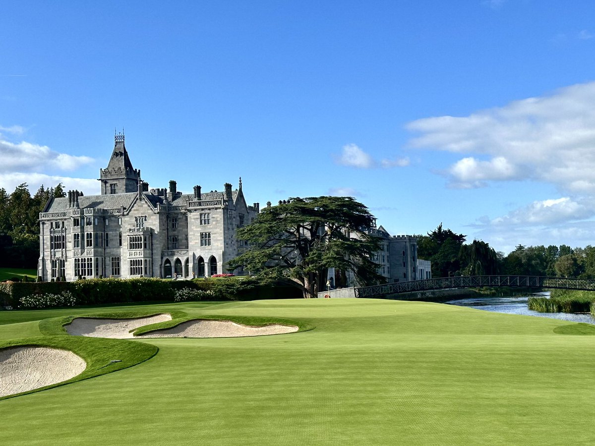 Shane Cullimore tweet media