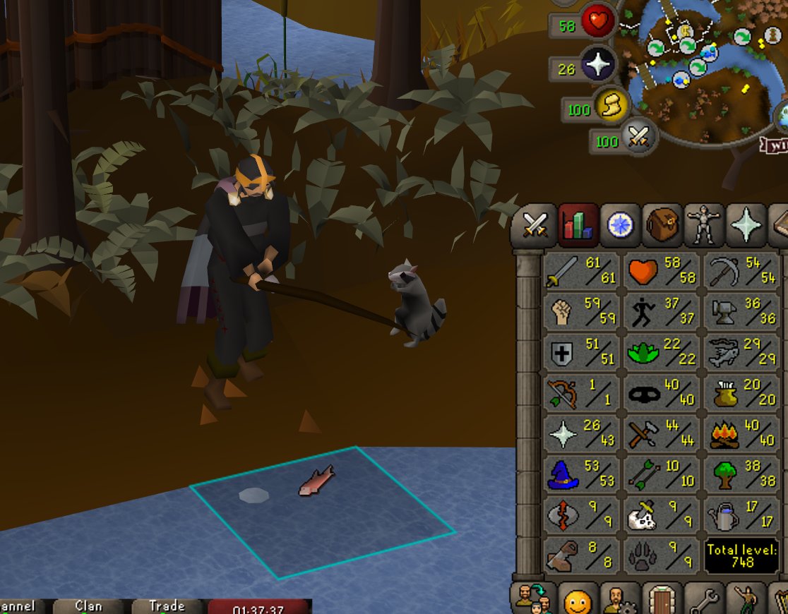Seblafff's tweet photo. So happy, i got my first pet 😍 #wait... #osrs https://t.co/lNtI2IY6CU