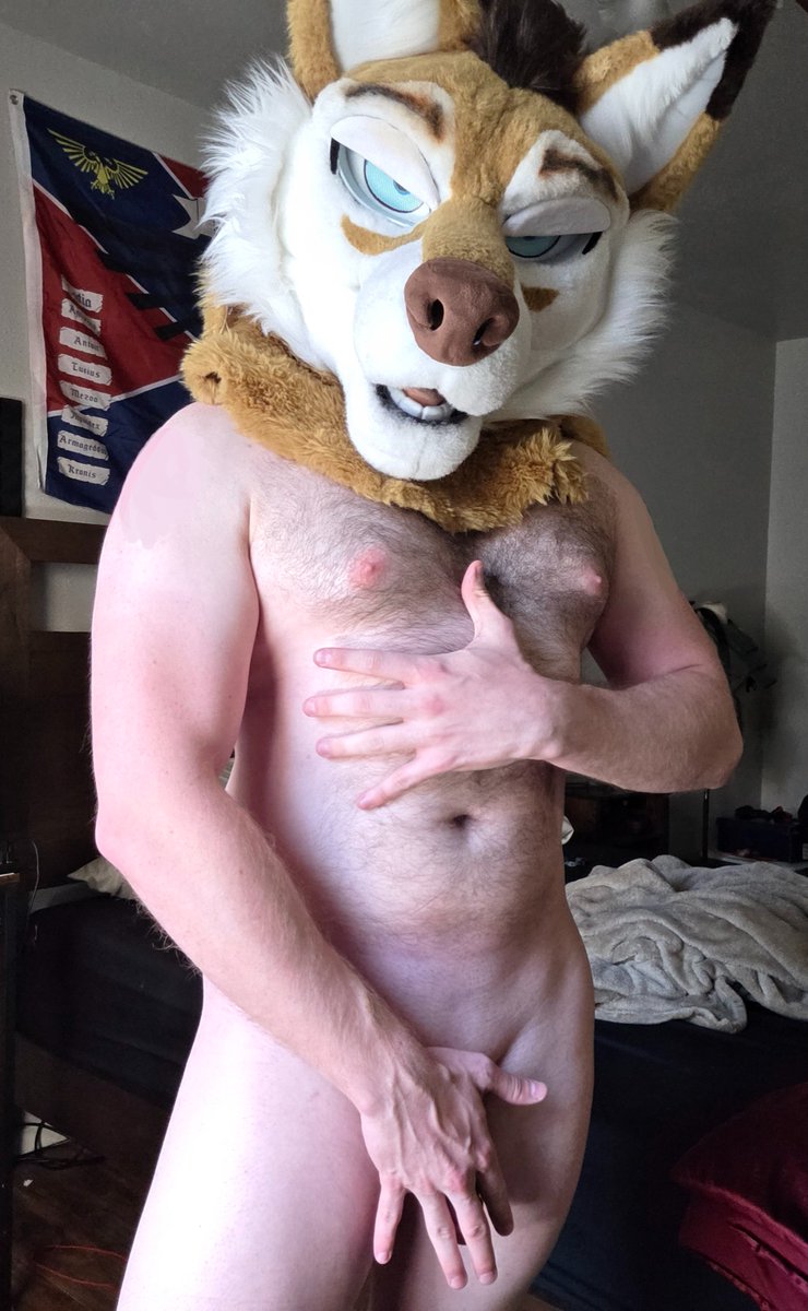 Haven't posted much ikik been busy with skool but hey its #biceptember here have this 🐺