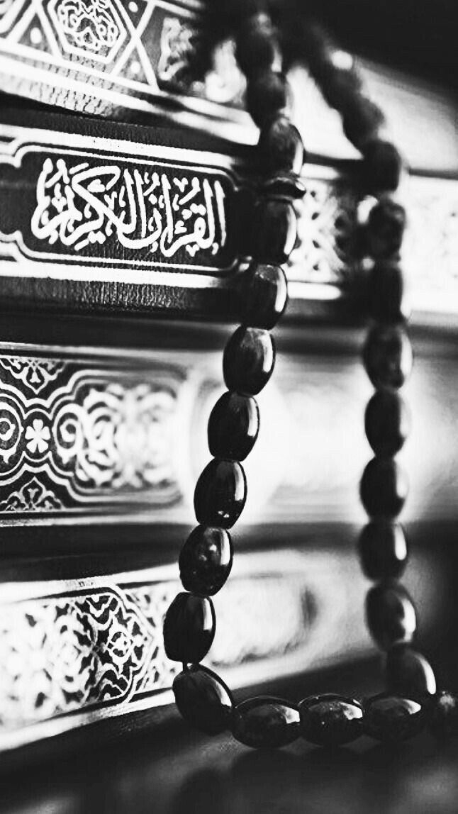 rajabergaoui's tweet image. #يا_الله

#القران_بلغات_العالم
#اللغة_الإنجليزية
Indeed, it is a noble Qur&apos;an
In a Register well-protected
#Coran
#Welcome_to_Islam
#America
#London
#England
#LosAngles
#Florida
#Humanity
#Swiss
#Sport
#Raja_dove_of_peace