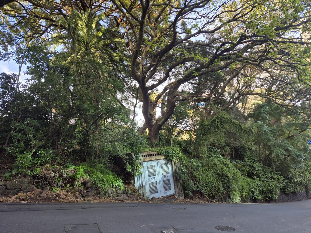 Is this the most unloved part of the CBD? Walls crumbling, weeds taking over natives? Cnr Kitchener &amp; Bankside.