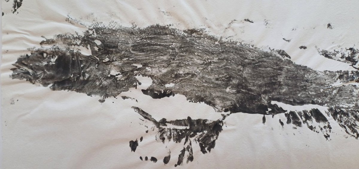 Anne-Marie Jones tweet media